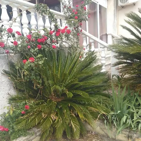 Ruza Dugi Otok Apartament *