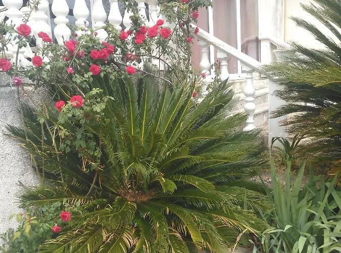 Ruza Dugi Otok דירה *